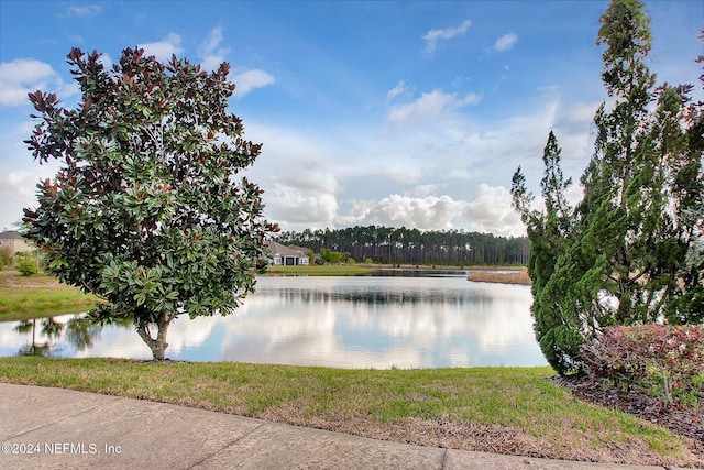 view of water feature