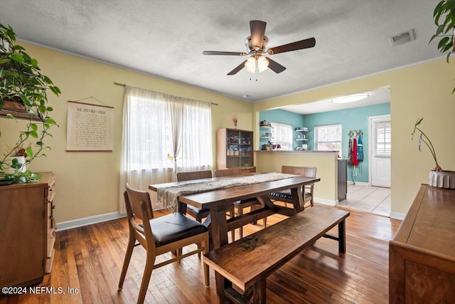 dining space featuring a healthy amount of sunlight, light hardwood / wood-style floors, and a textured ceiling