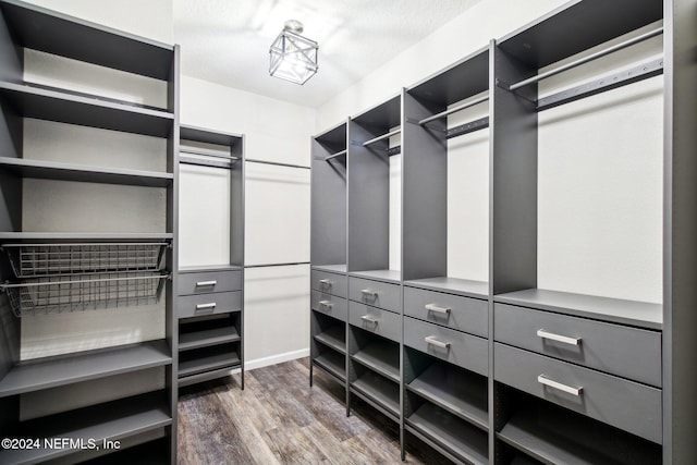 spacious closet featuring dark hardwood / wood-style flooring