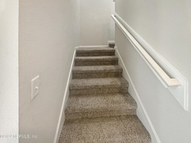 staircase featuring carpet floors