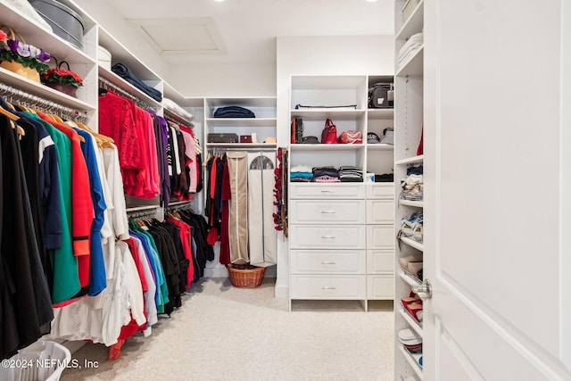 view of spacious closet