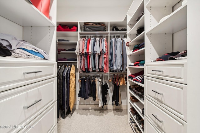 walk in closet featuring light carpet