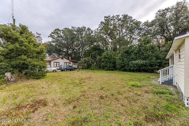206 Citizen St, Green Cove Springs, FL 32043 - view of yard
