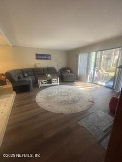 living room featuring dark wood-type flooring