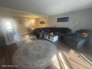 living room featuring wood-type flooring