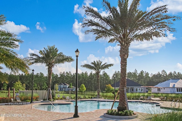 view of pool featuring a patio