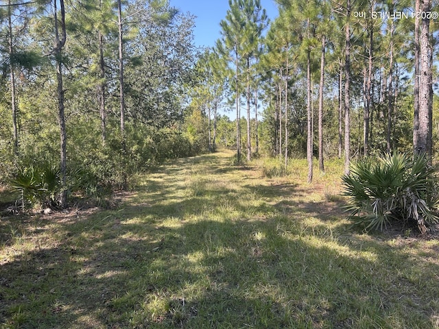 220 Eagle Creek Rd, Palatka FL, 32043 land for sale