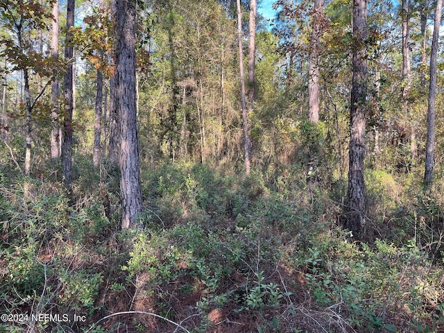 10020 Oliver Ave, Hastings, FL 32145
