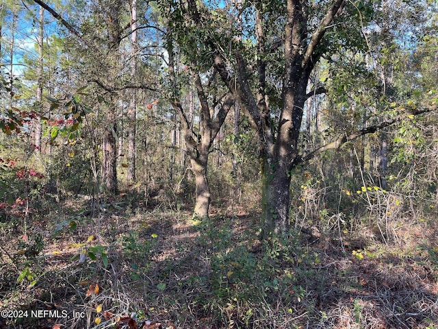 10020 Oliver Ave, Hastings, FL 32145