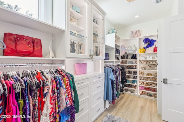 spacious closet with light hardwood / wood-style flooring