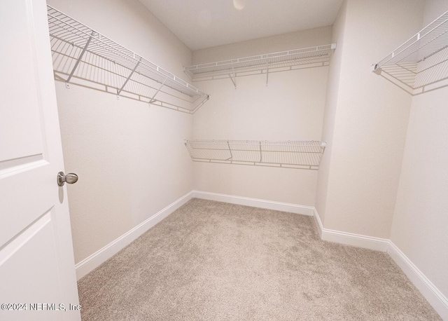 walk in closet with light colored carpet