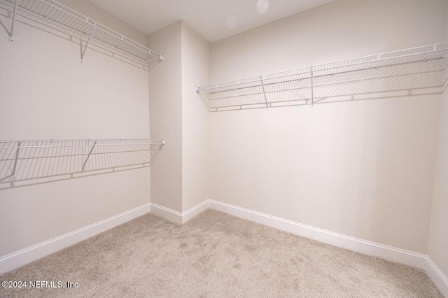 walk in closet featuring light colored carpet