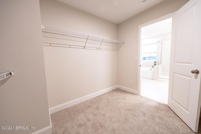 walk in closet with light carpet