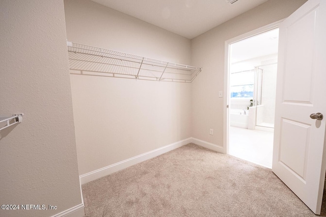 13185 Dunwick Rd, Jacksonville, FL 32256 - photo 32