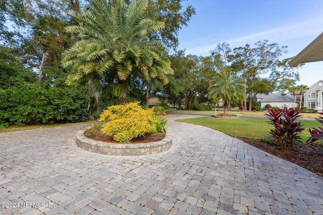 view of property's community with a lawn