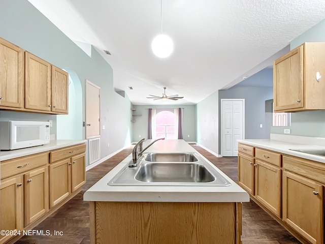 kitchen with sink, an island with sink, dark hardwood / wood-style floors, and decorative light fixtures