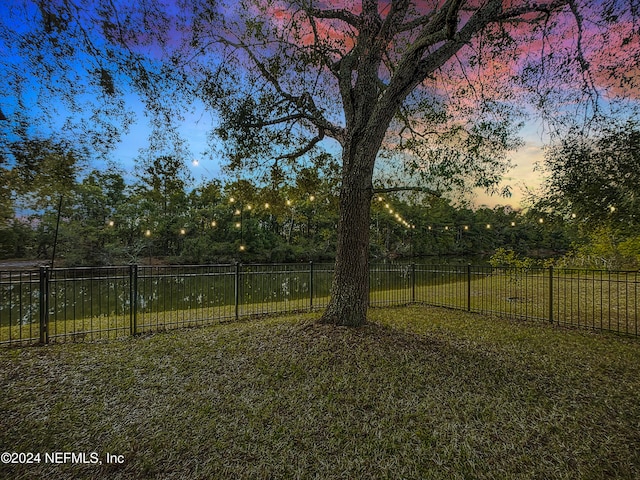 view of yard at dusk