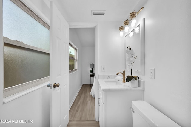 bathroom featuring vanity, wood-type flooring, and toilet