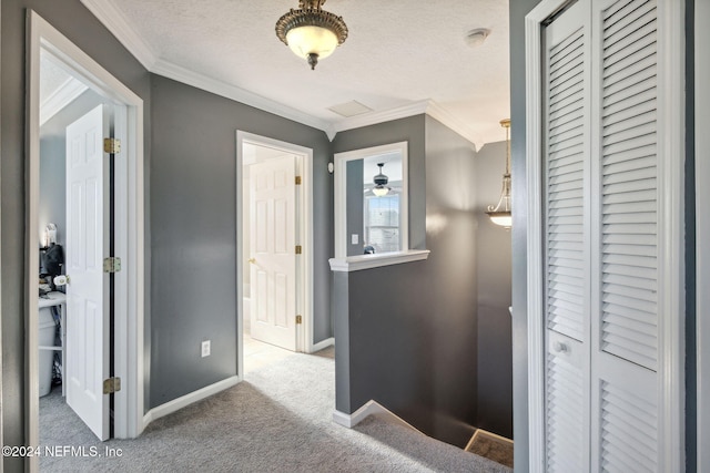 hall featuring a textured ceiling, carpet floors, and crown molding