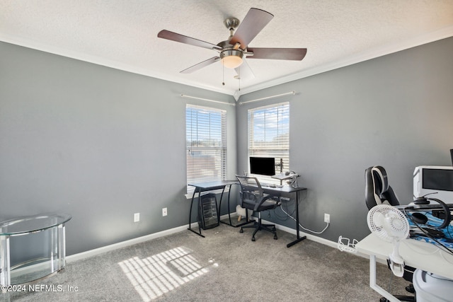 carpeted home office featuring ceiling fan, ornamental molding, and a textured ceiling