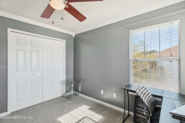 carpeted home office with crown molding, ceiling fan, and a textured ceiling