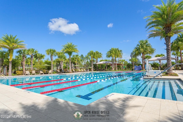 view of pool featuring a patio area