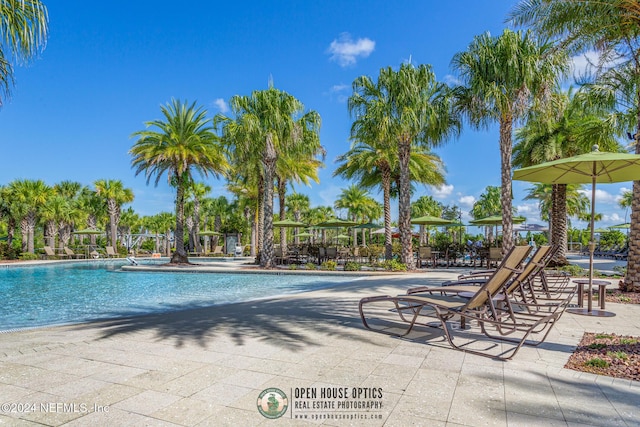 view of pool with a patio