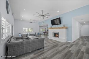 living room featuring dark hardwood / wood-style flooring