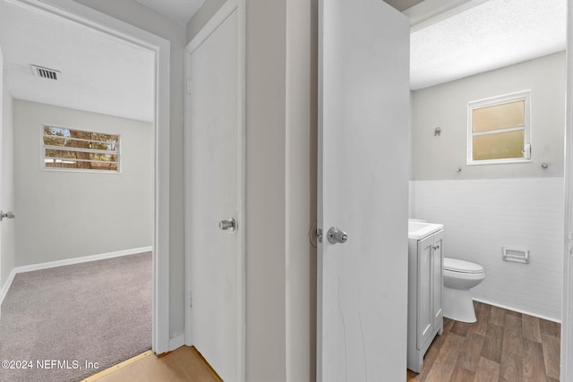 bathroom featuring vanity, toilet, wood-type flooring, and a wealth of natural light