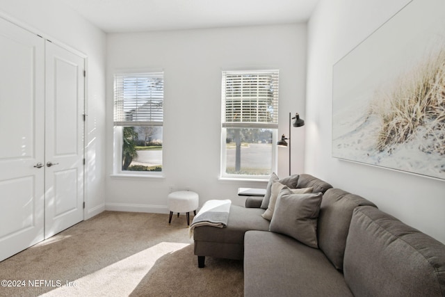 carpeted living room featuring a healthy amount of sunlight