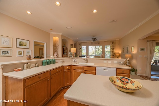 kitchen featuring dishwasher, a healthy amount of sunlight, ornamental molding, and sink