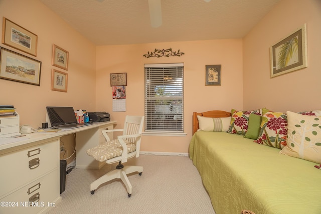 carpeted bedroom with a textured ceiling