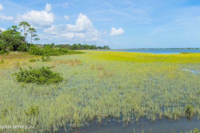 view of local wilderness with a water view