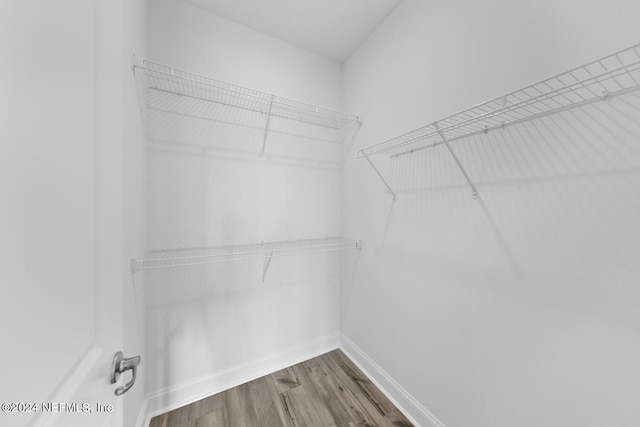 spacious closet featuring hardwood / wood-style flooring