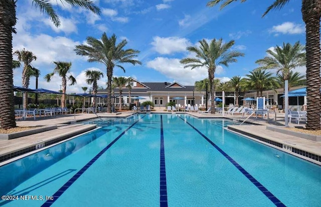 view of pool featuring a patio area