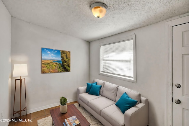 living room featuring a textured ceiling