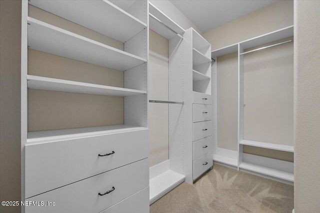 spacious closet featuring light colored carpet