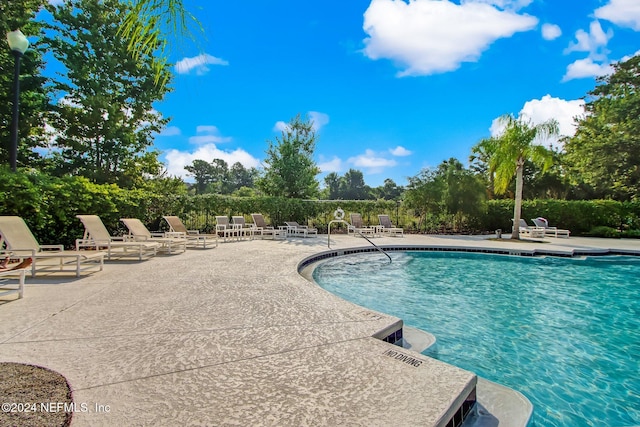 view of swimming pool with a patio area