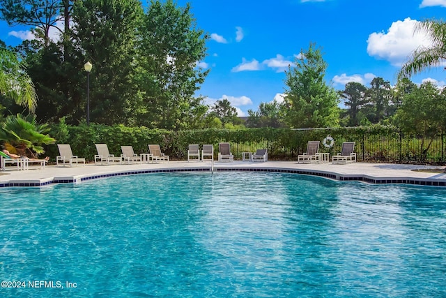 view of swimming pool with a patio area