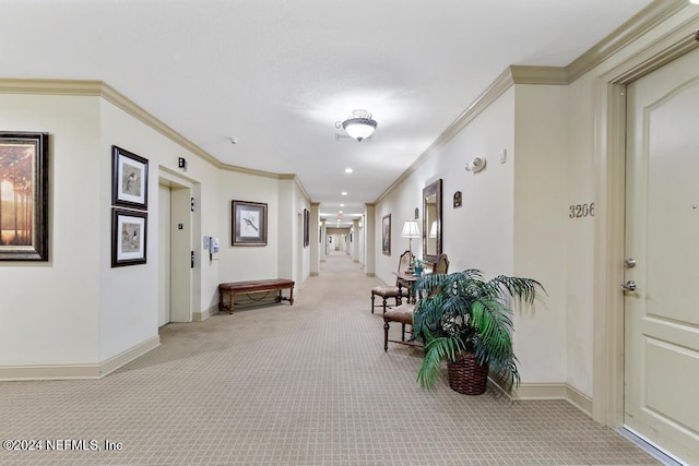 hall with light colored carpet and ornamental molding