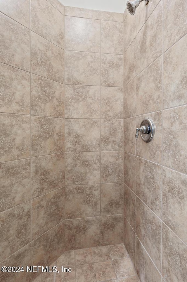 interior details with tiled shower