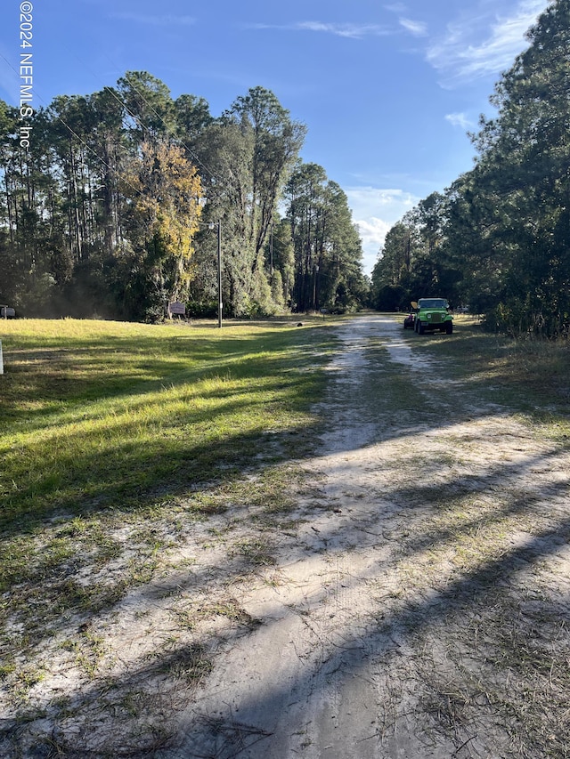 107 Heathton St, Georgetown FL, 32113 land for sale