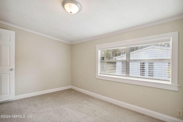 carpeted empty room with ornamental molding and a wealth of natural light