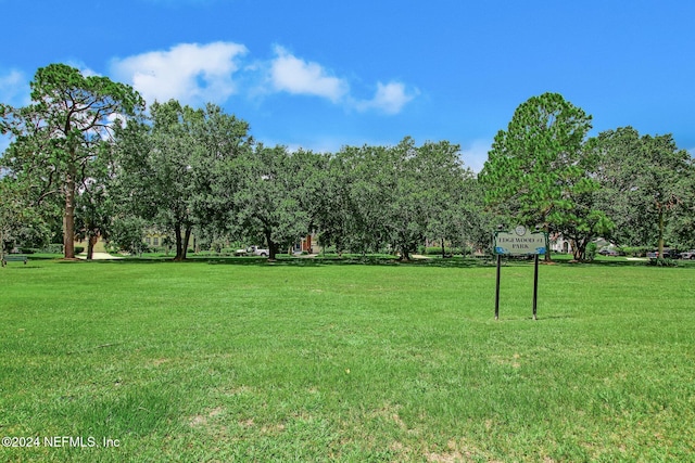 view of yard