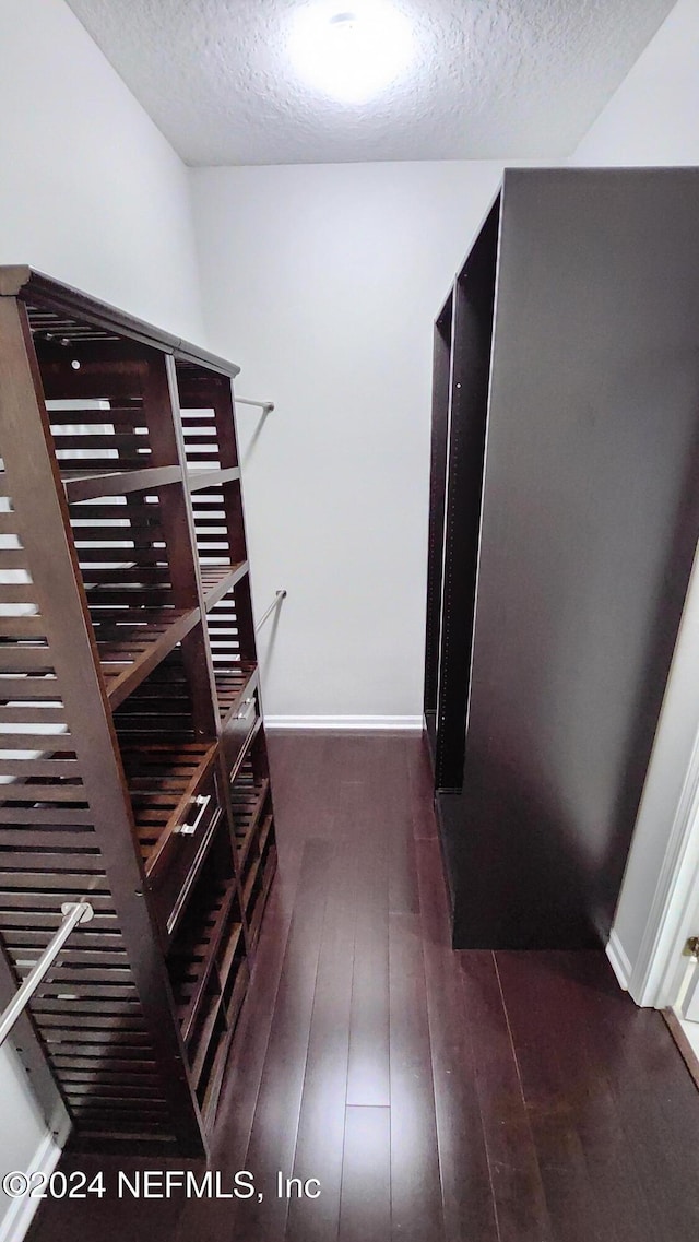 spacious closet with dark wood-type flooring