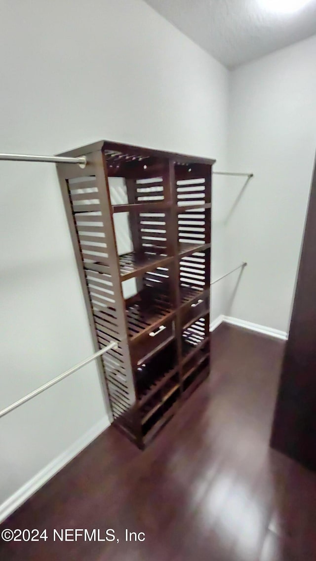 spacious closet with dark wood-type flooring