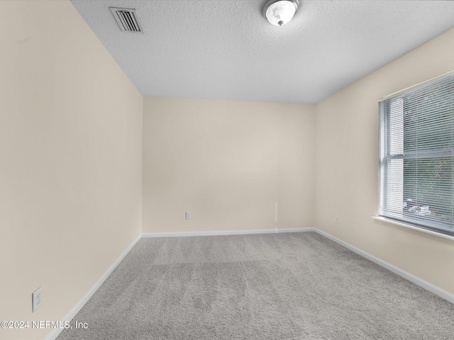 empty room with a wealth of natural light, carpet floors, and a textured ceiling