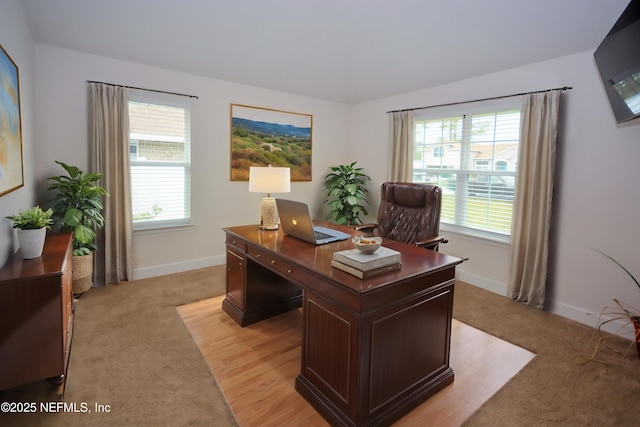 6 Sederholm Path, Palm Coast, FL 32164 - office with light wood finished floors, light carpet, and baseboards