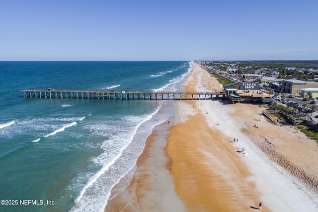 6 Sederholm Path, Palm Coast, FL 32164 - drone / aerial view with a beach view and a water view