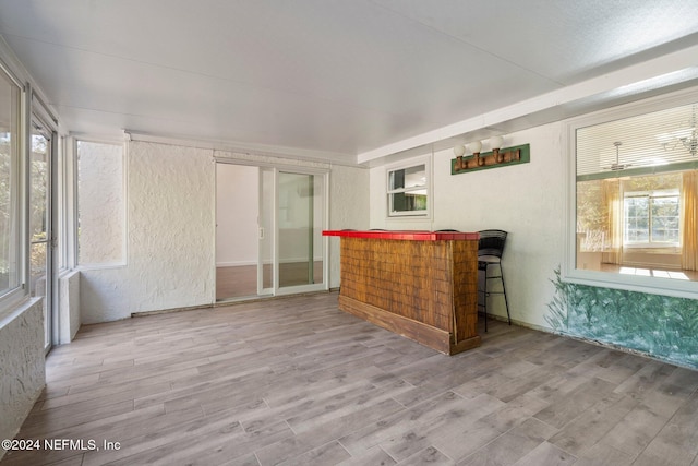 bar featuring light hardwood / wood-style flooring